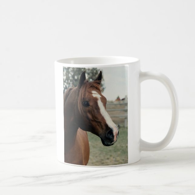 Arabian auf Weide Tasse (Rechts)