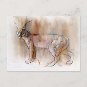 Arabian Caracal 2009 Postkarte
