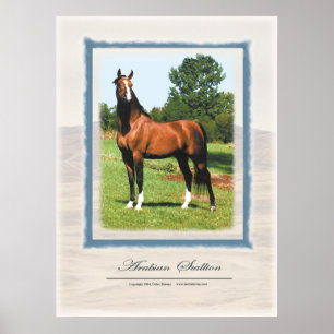 Arabian-Hallion Poster