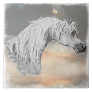 Arabian Horse Decorative Tile Fliese