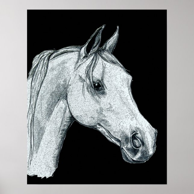 Arabian Horse Ink Sketch Poster (Vorne)