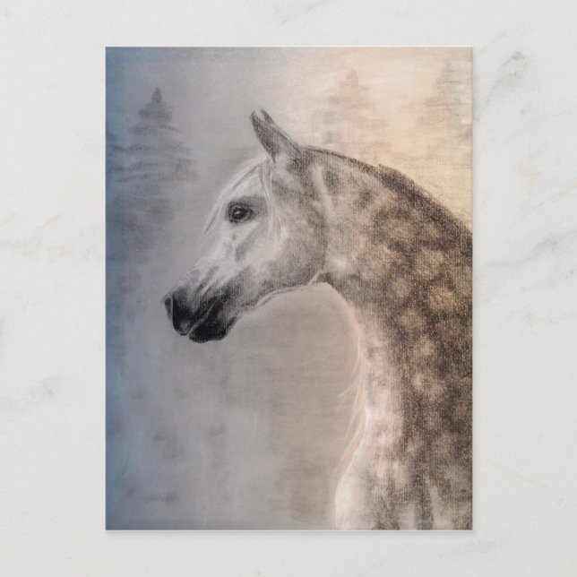 Arabian Horse Postcard Postkarte (Vorderseite)