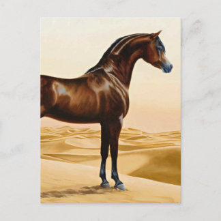 Arabian Horse - William Barraud Postkarte