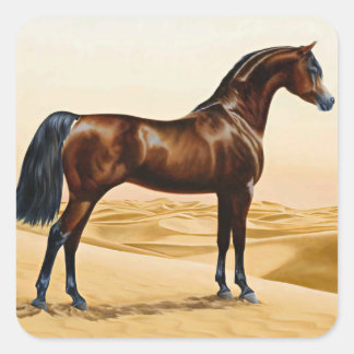 Arabian Horse - William Barraud Quadratischer Aufkleber
