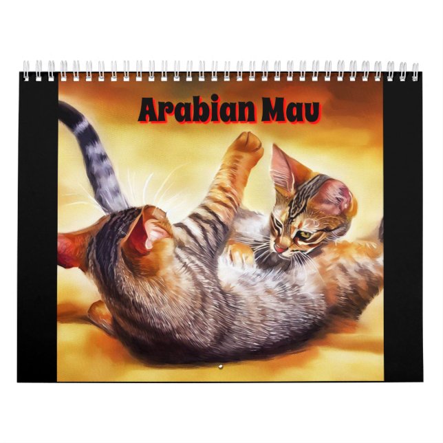 Arabian Mau Cat Kalender (Titelbild)