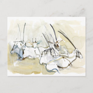 Arabian Oryx 2010 2 Postkarte