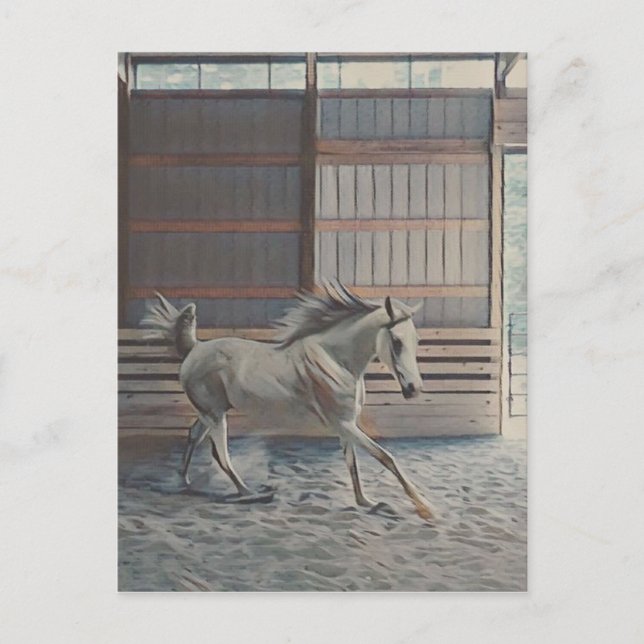 Arabian Postkarte (Vorderseite)