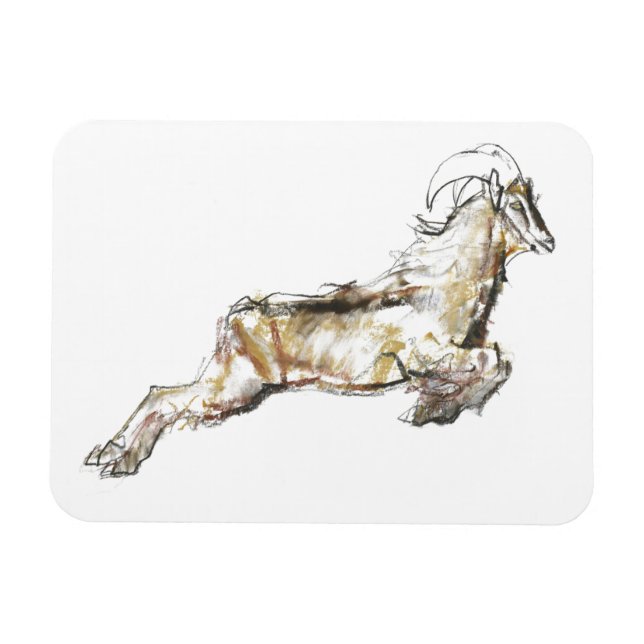 Arabian Tahr 2009 Magnet (Horizontal)