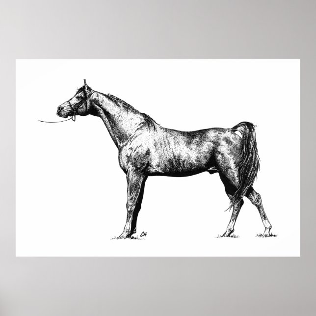 Arabisch in Pen und Ink Poster (Vorne)