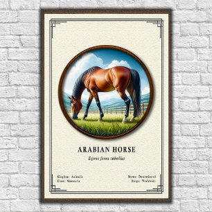 Arabische Pferde-Zoologie-Serie Poster