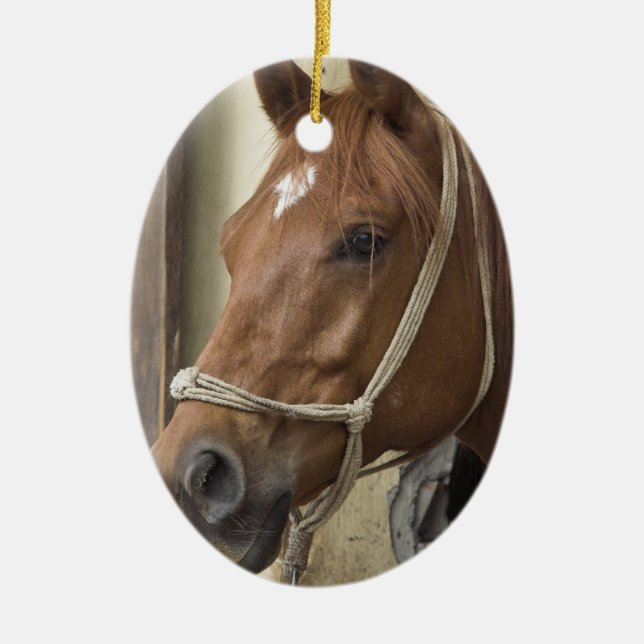 Arabische Pferdeverzierung Keramik Ornament (Vorne)