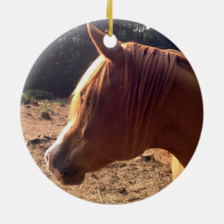 Arabische Pferdeverzierung Keramikornament