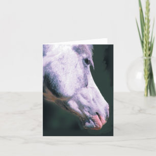 arabischer Leiter "Beautiful Boy" Karte