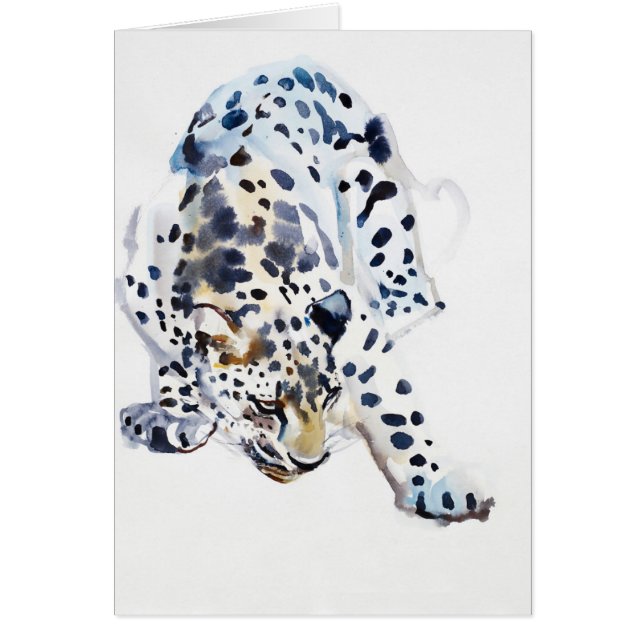 Arabischer Leopard 2008 5 (Vorne)