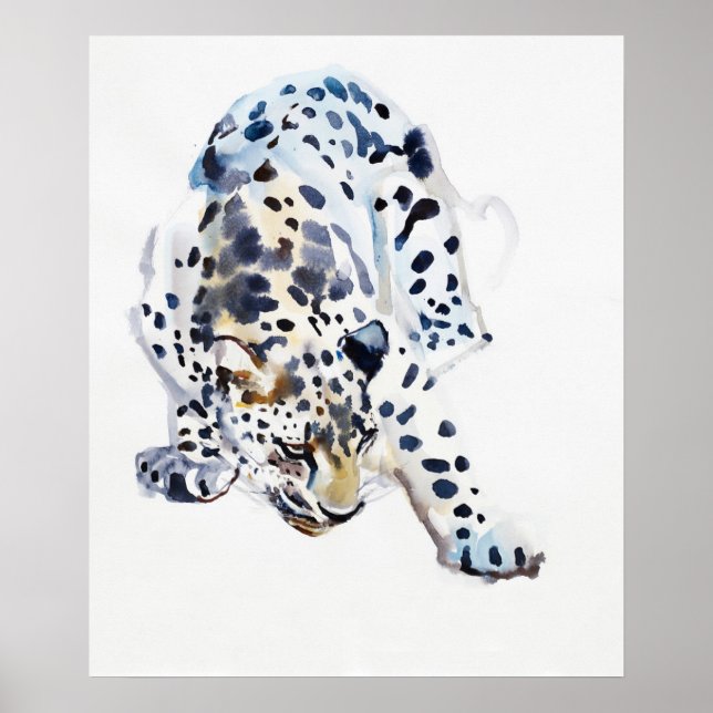 Arabischer Leopard 2008 5 Poster (Vorne)