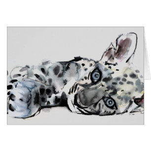 Arabischer Leopard CUB 2008