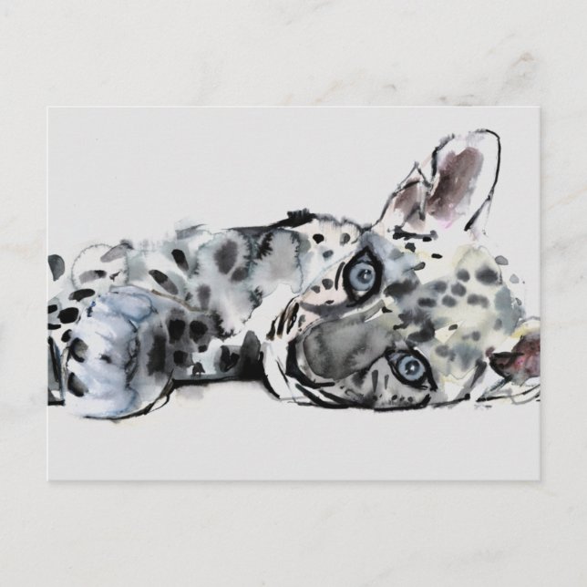 Arabischer Leopard Cub 2008 Postkarte (Vorderseite)