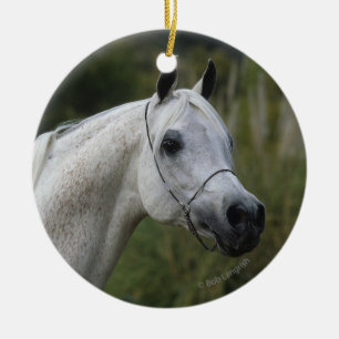 Arabischer PferdeHeadshot 1 Keramik Ornament