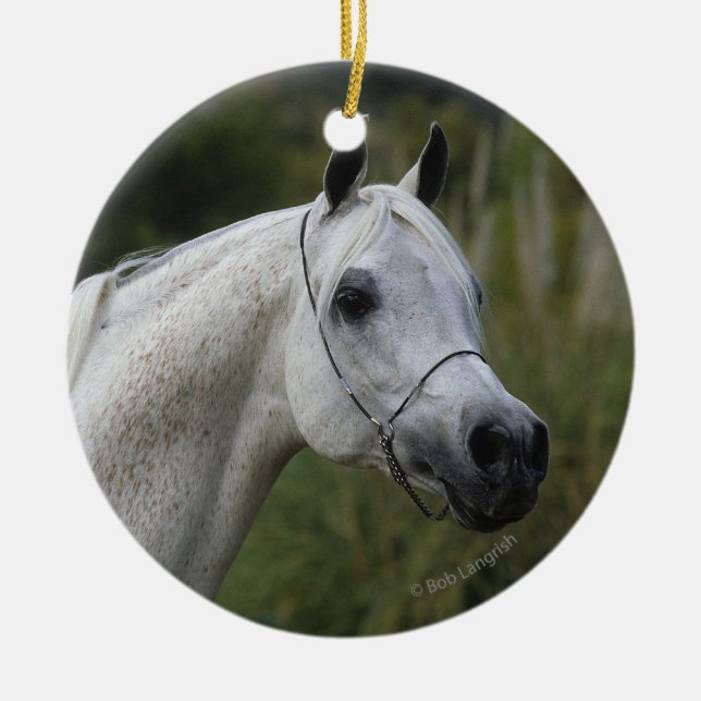 Arabischer PferdeHeadshot 1 Keramik Ornament (Vorne)