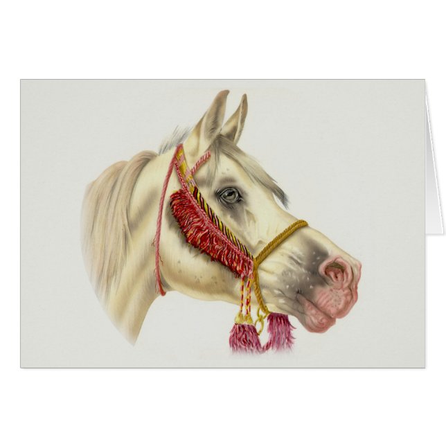 Arabischer Stallion (Vorderseite (Horizontal))