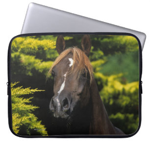 Arabischer Stallion Laptopschutzhülle