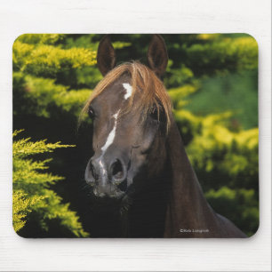 Arabischer Stallion Mousepad