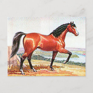 Arabisches Bay-Pferd – Vintage-Aquarell-Kunst Postkarte