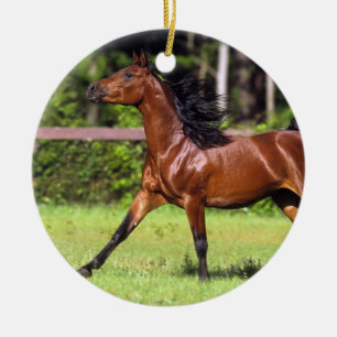 Arabisches Pferd, das 2 laufen lässt Keramik Ornament