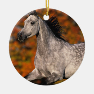 Arabisches Pferd: Herbst 1 Keramikornament
