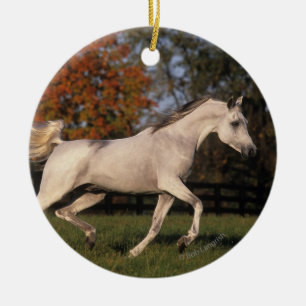 Arabisches Pferd: Herbst 2 Keramikornament