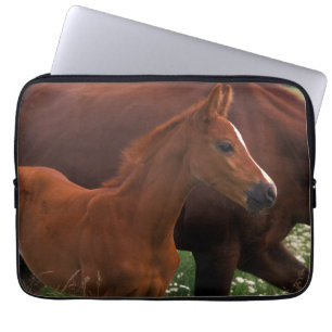 Arabisches Pferd in der Nähe der Mutter Laptopschutzhülle
