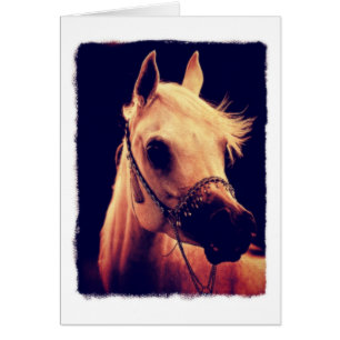 Arabisches Pferd in einem Halter anzeigen