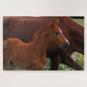 Arabisches Pferd neben der Mutter Puzzle