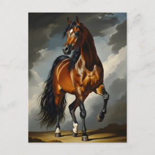 Arabisches Pferd Postkarte