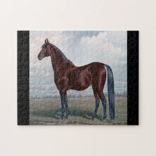 Arabisches Pferd stehend auf einem Gebiet Puzzle