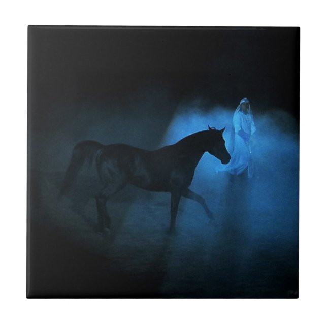 Arabisches Pferd und traine Fliese (Vorderseite)