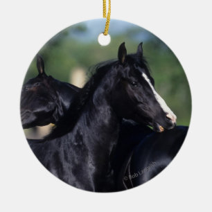 Arabisches Pferdeverkratzen Keramik Ornament