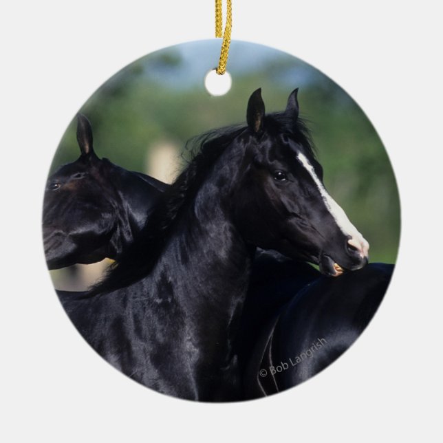 Arabisches Pferdeverkratzen Keramik Ornament (Vorne)