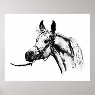 Arabisches Portrait in Pen & Ink Poster