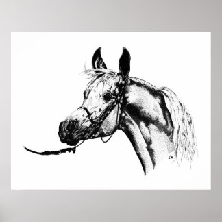 Arabisches Portrait in Pen & Ink Poster