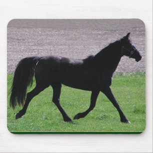 Arabisches Profil mousepad