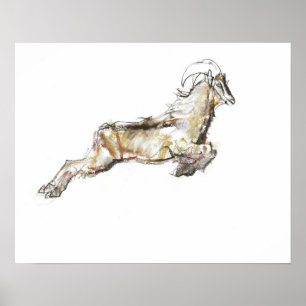 Arabisches Tahr 2009 Poster