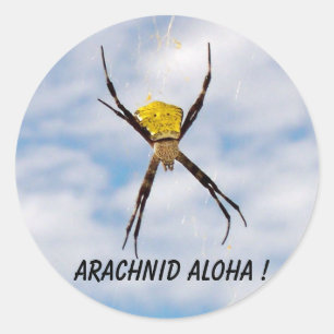 Arachnid Aloha Hawaiian Garden Spider Runder Aufkleber