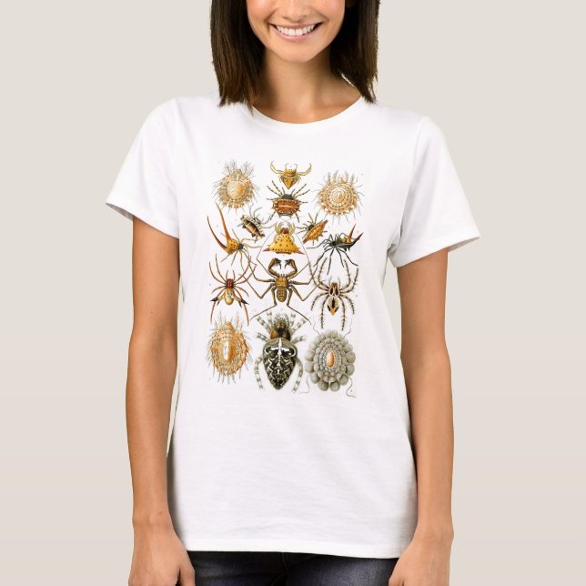 Arachnida (Spiders), Ernst Haeckel Fine Art T-Shirt (Vorderseite)