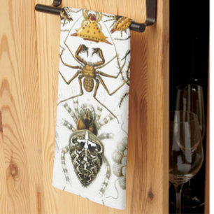Arachniden von Haeckel vintage Spinnenillustration Geschirrtuch