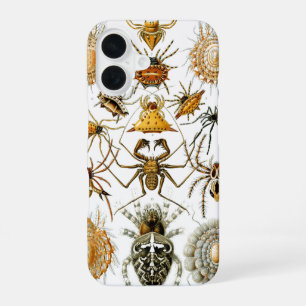 Arachniden von Haeckel Vintage Spinnenillustration iPhone 16 Hülle