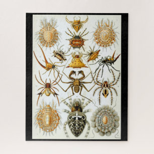 Arachnids von Ernest Haeckel Vintag Illustration Puzzle