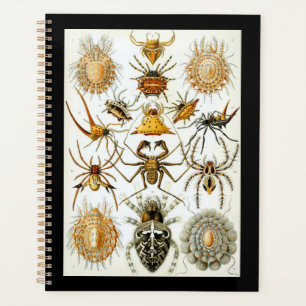 Arachnids von Ernest Haeckel Vintage Poster Planer