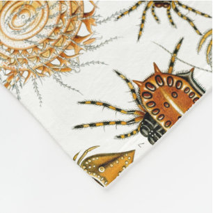 Arachnids von Haeckel Vintage Spinnentechnik Fleecedecke