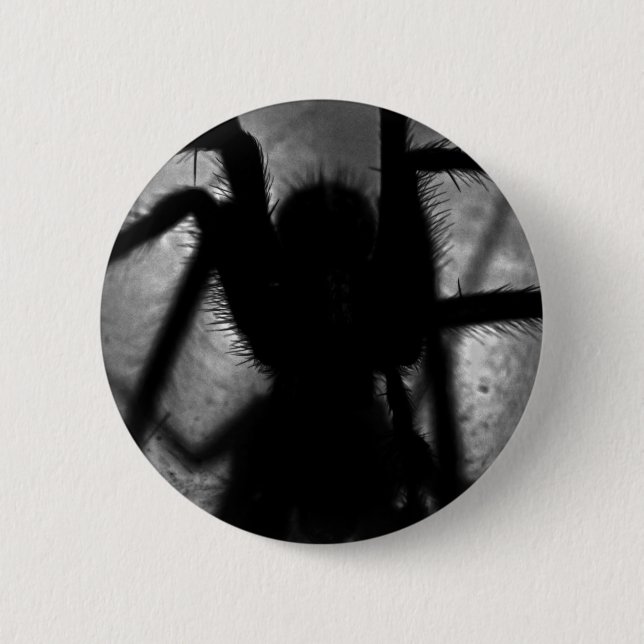Arachnophobia… Button (Vorderseite)